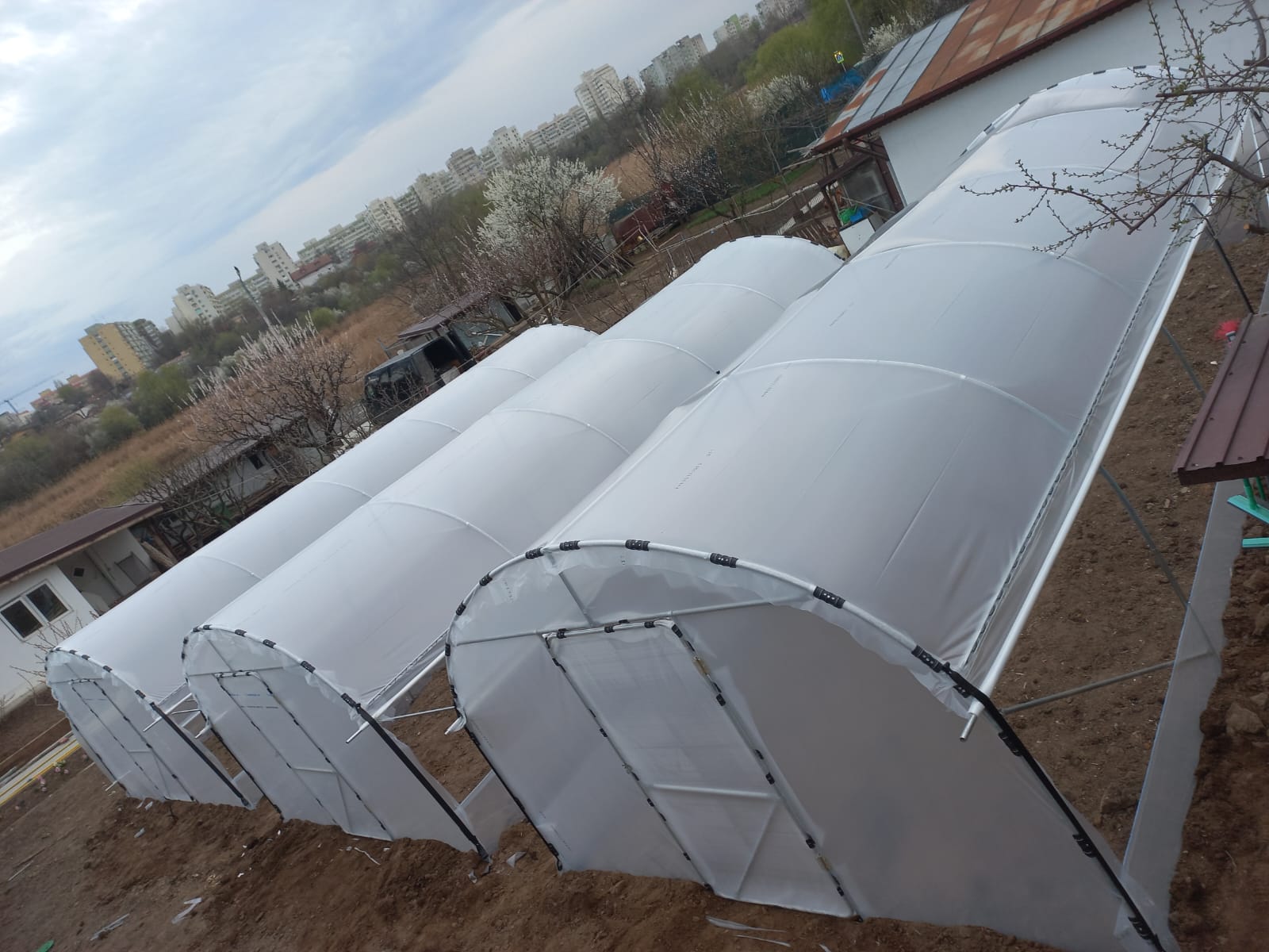 Solar 4m - imagine 3